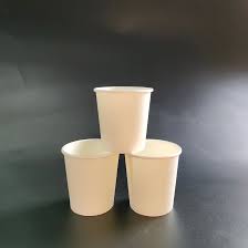 Paper Water Cup